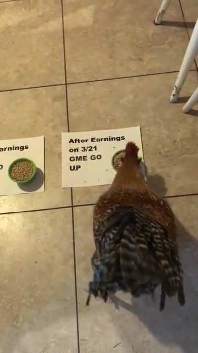Eggon says “GME go up” after earnings. ⬆️