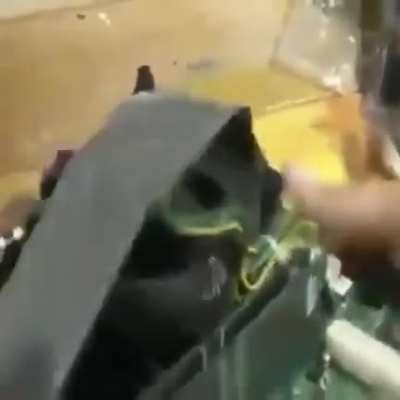 Cursed pc build