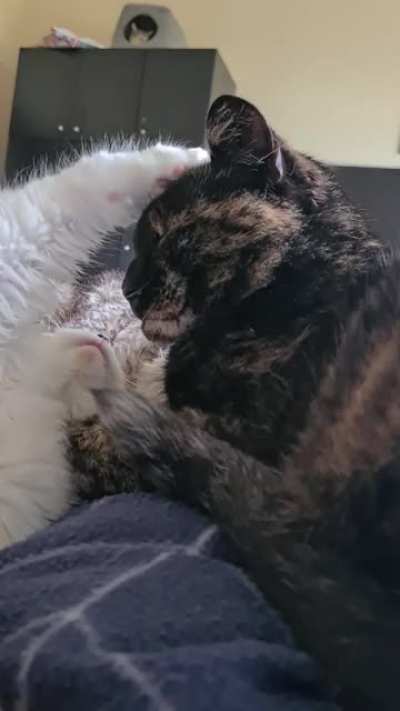 Tired tappy taps