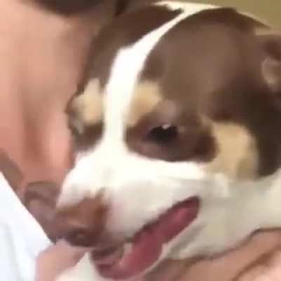 I gotchu on camera.