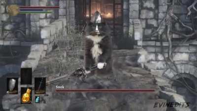 Encountering mini-boss in Elden Ring open world...