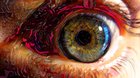 This time I also transfered the eye to a 3d model on which I did a little mesh simulation