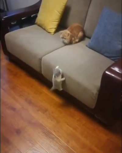 Very Smol