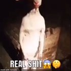 she * ! +:) wanna ++** meet carti !