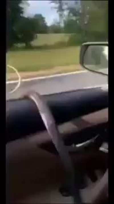Snek to the car!