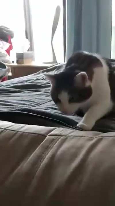 Spooky blanket