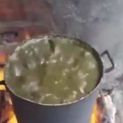 Boomer Bile Meal