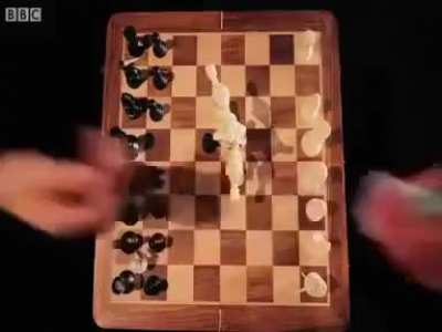WTF chess