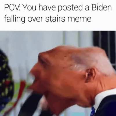 A B S O R B