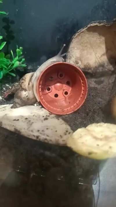 Mr big having fun