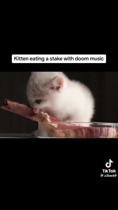BeelcitosMemes - Video #6473