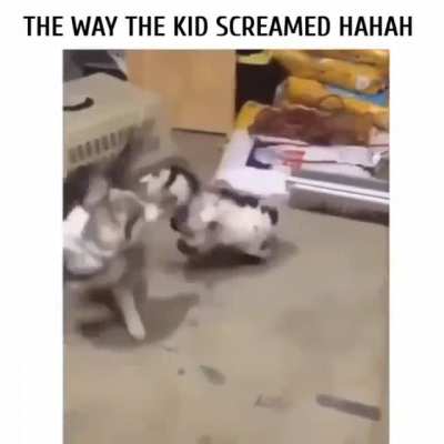 THE WAY THE KID SCREAMED HAHAH