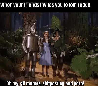 Everything is fun and well