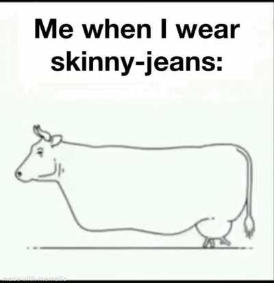 Off to Bovine University