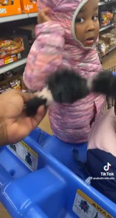 Fake spider was a little too real