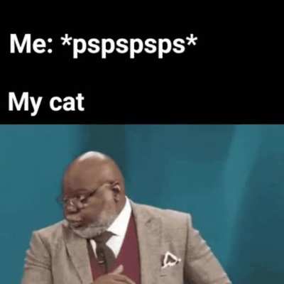 Come here kitty