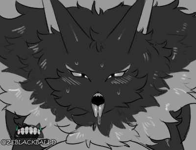 The stalker [zeblackballd]