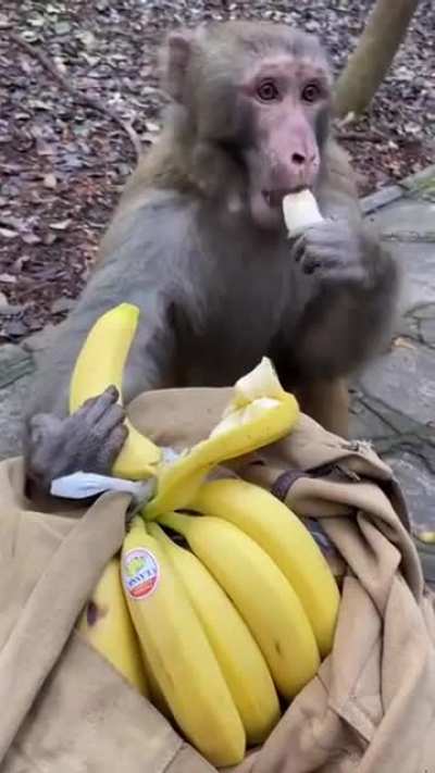 me when mom buy banana
