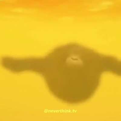 Upvote= 5 centimeters of dick 🤝