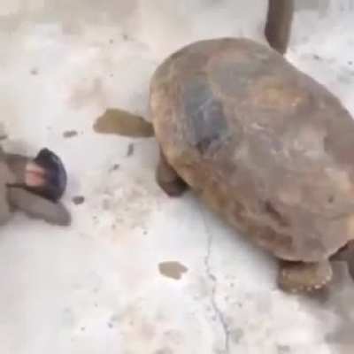 no, that's not his leg