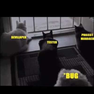 Programmer's Life