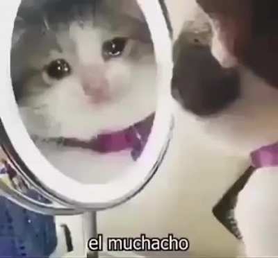 Derrote al admin