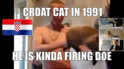 balkan cats