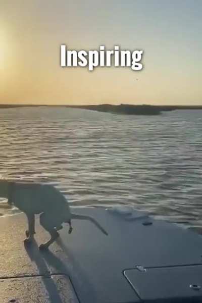 Inspiring
