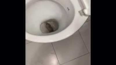 Oh no.....