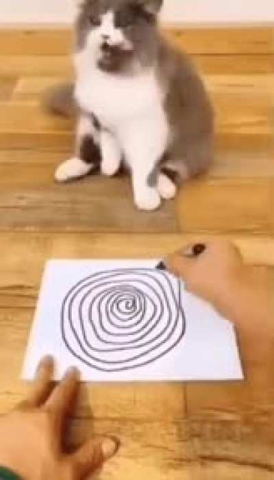 Catatonic