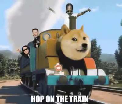 See you at $1 Doge hodlers