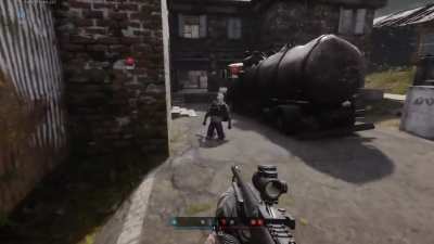 That Ragdoll