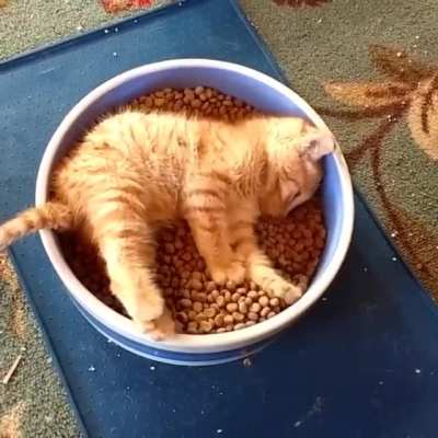 Bed and breakfast