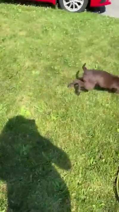 fun in the sun