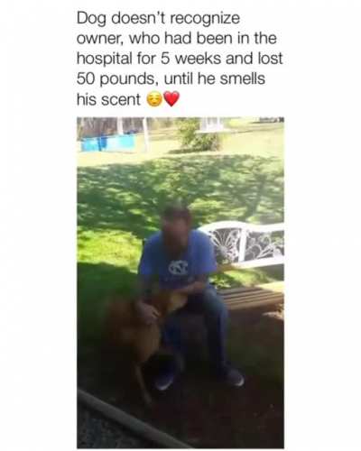 A wholesome reunion