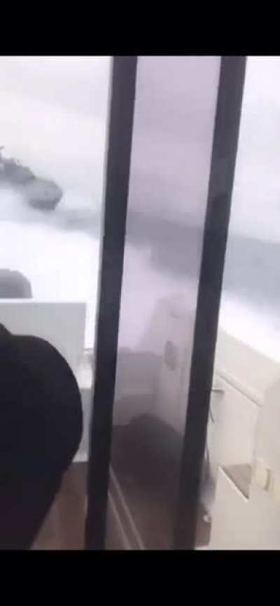 Пилото! Пилото!