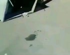 I fucking hate raccoons