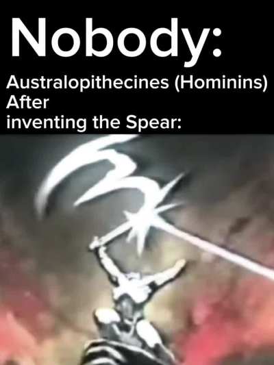 Palaeolithic Age superiority 