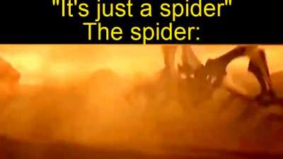 Shorter than I expected