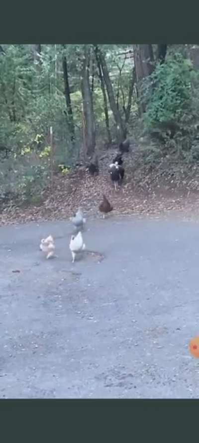 Oh shit! momma is calling, abort mission!!
