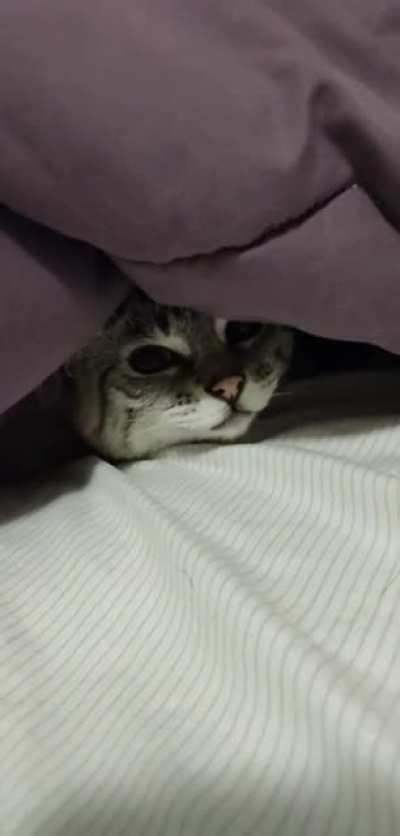 Nice and cozy!