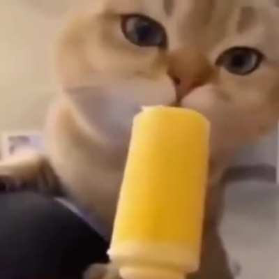 sus