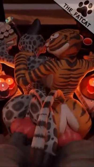 Master Snow Leopard & Master Tigress [MMFF] (The_FatCat)