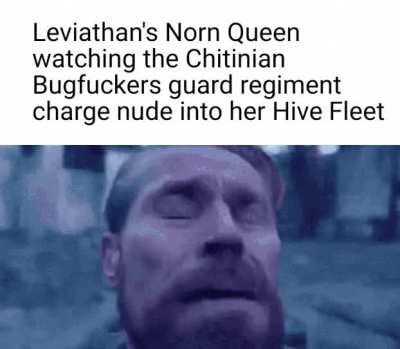The new Nids are certainly popular