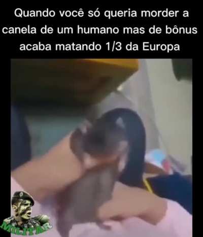 Memes históricos