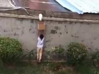 heartwarming moments from China
