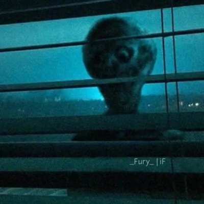 Não assista se você quiser dormir a noite, isso foi um aviso
