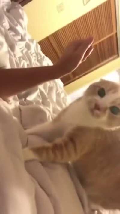 O.O