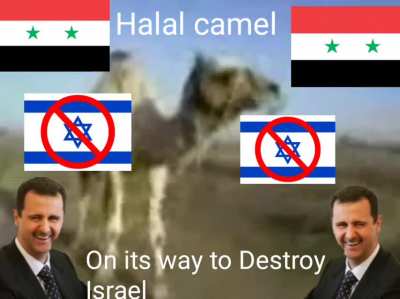 Camel on its way to destroy Israel الجمل الحلال يقضي على إسرائيل 🐫🐫🐫🇸🇾<wbr>🇸🇾🇸🇾👎<wbr>👎👎🇮🇱🇮<wbr>🇱🇮🇱