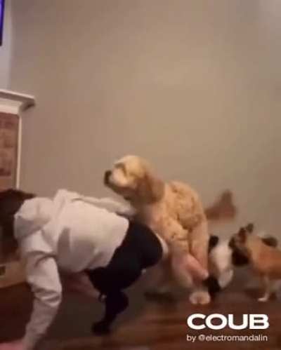 А не фиг ноги задирать!